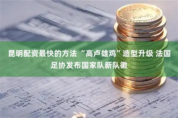 昆明配资最快的方法 “高卢雄鸡”造型升级 法国足协发布国家队新队徽